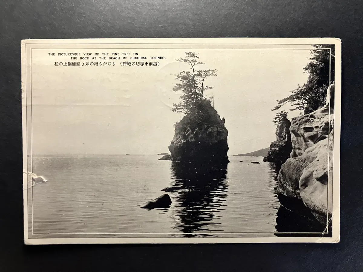 cover preview of 17: 1932 Early Showa Tojinbo Sea Cliffs & Solitary Pine Real-Photo Postcard with Travel Correspondence & 1.5-Sen Stamp